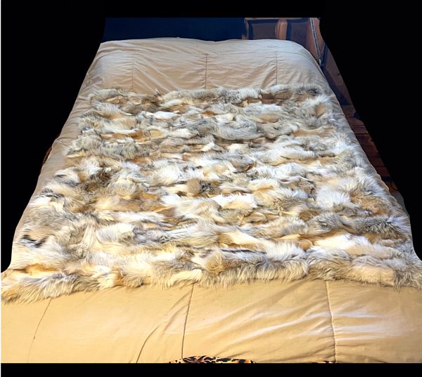 4x4 Coyote Blanket